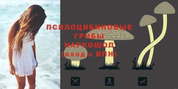 каннабис Белокуриха