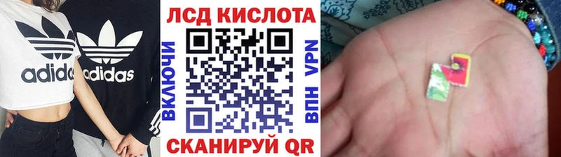Марки 25I-NBOMe 1500мкг Лесной