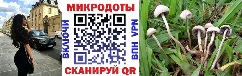 где продают наркотики  Лесной  Галлюциногенные грибы Cubensis 