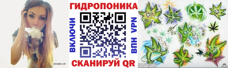 Шишки марихуана MAZAR  ссылка на мегу tor  Лесной 